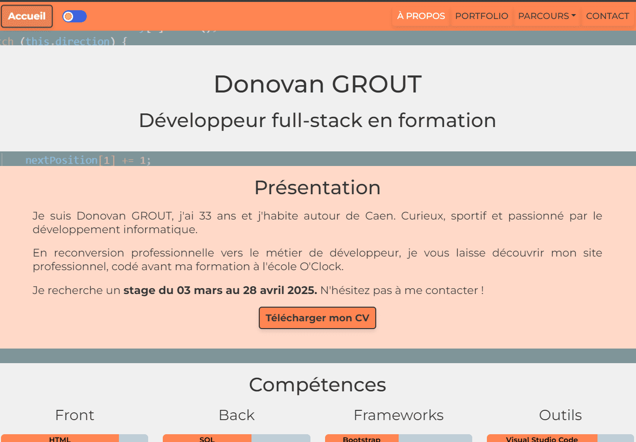 Capture d'écran du site professionnel